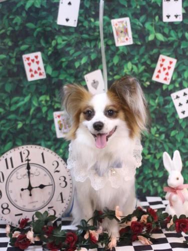 20250413ムーくん